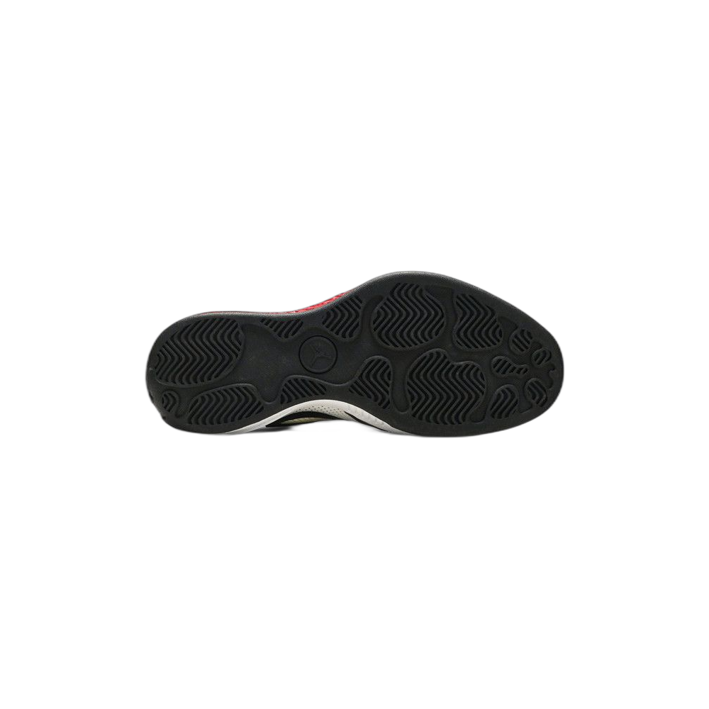 Air Jordan 2010 — Black/Varsity Red-White (387358-061)