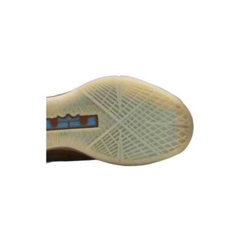 Nike LeBron X EXT QS — Hazelnut/Hazelnut (607078-200)