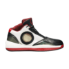 Air Jordan 2010