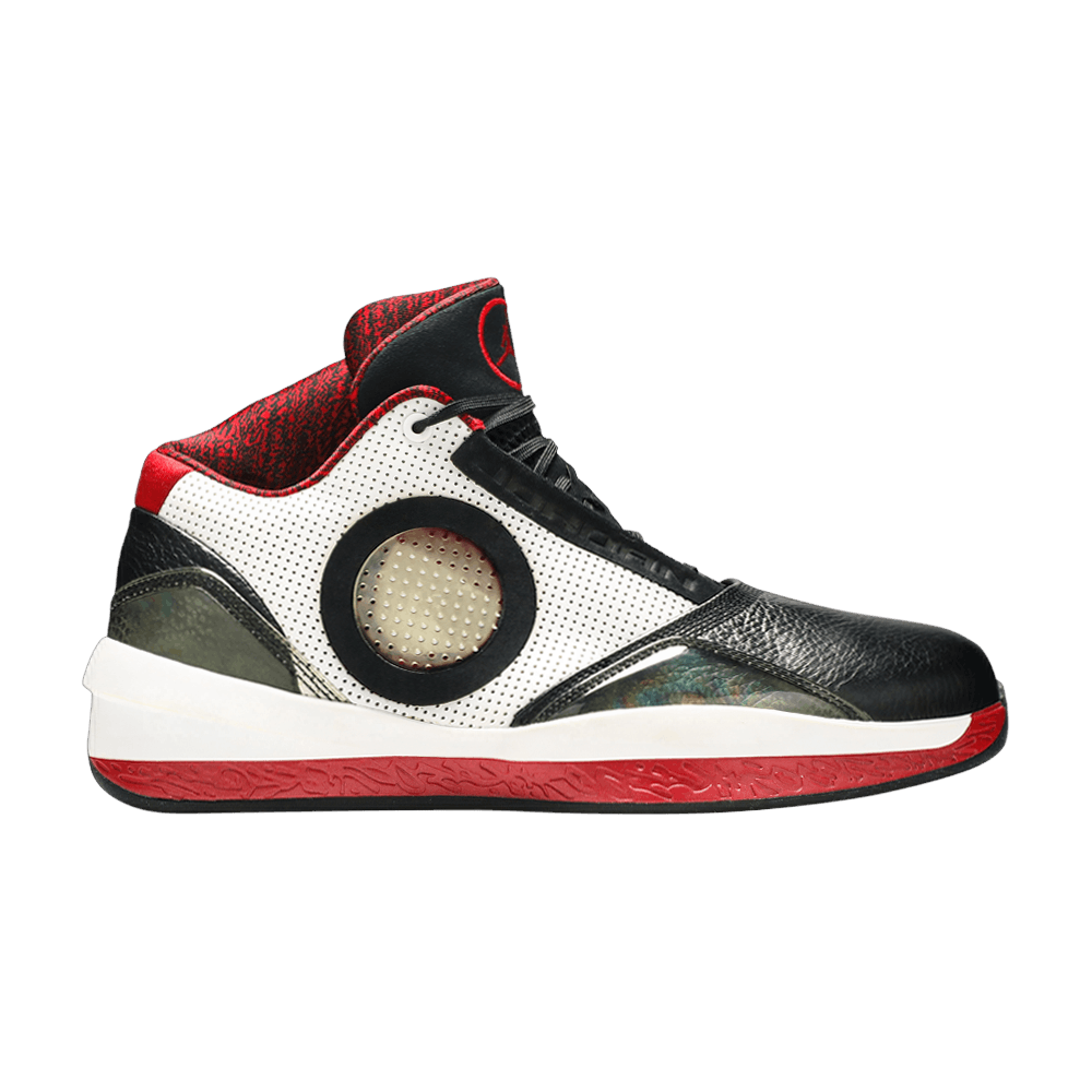 Air Jordan 2010