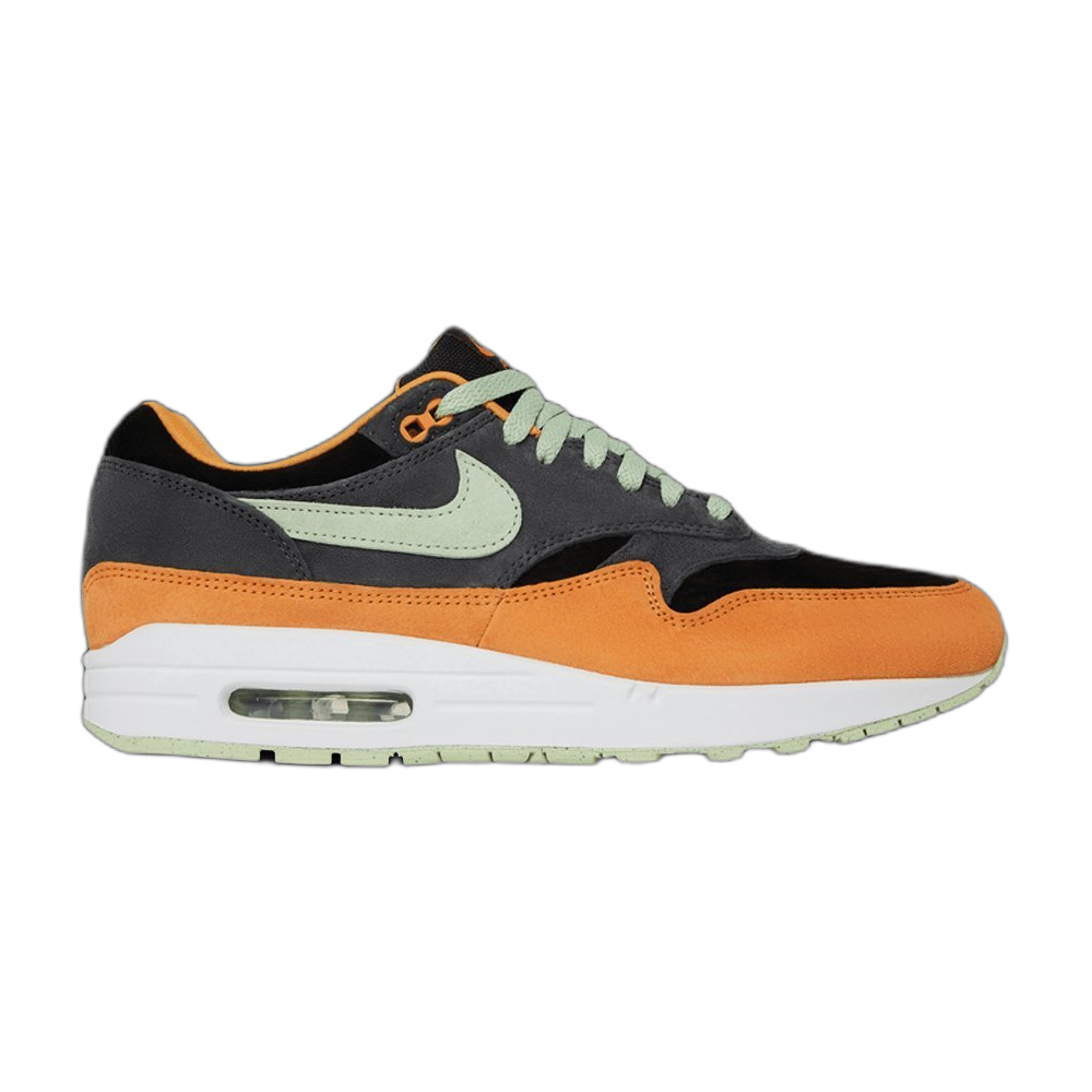 Nike Air Max 1 “Ugly Duckling”