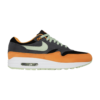Nike Air Max 1 “Ugly Duckling”