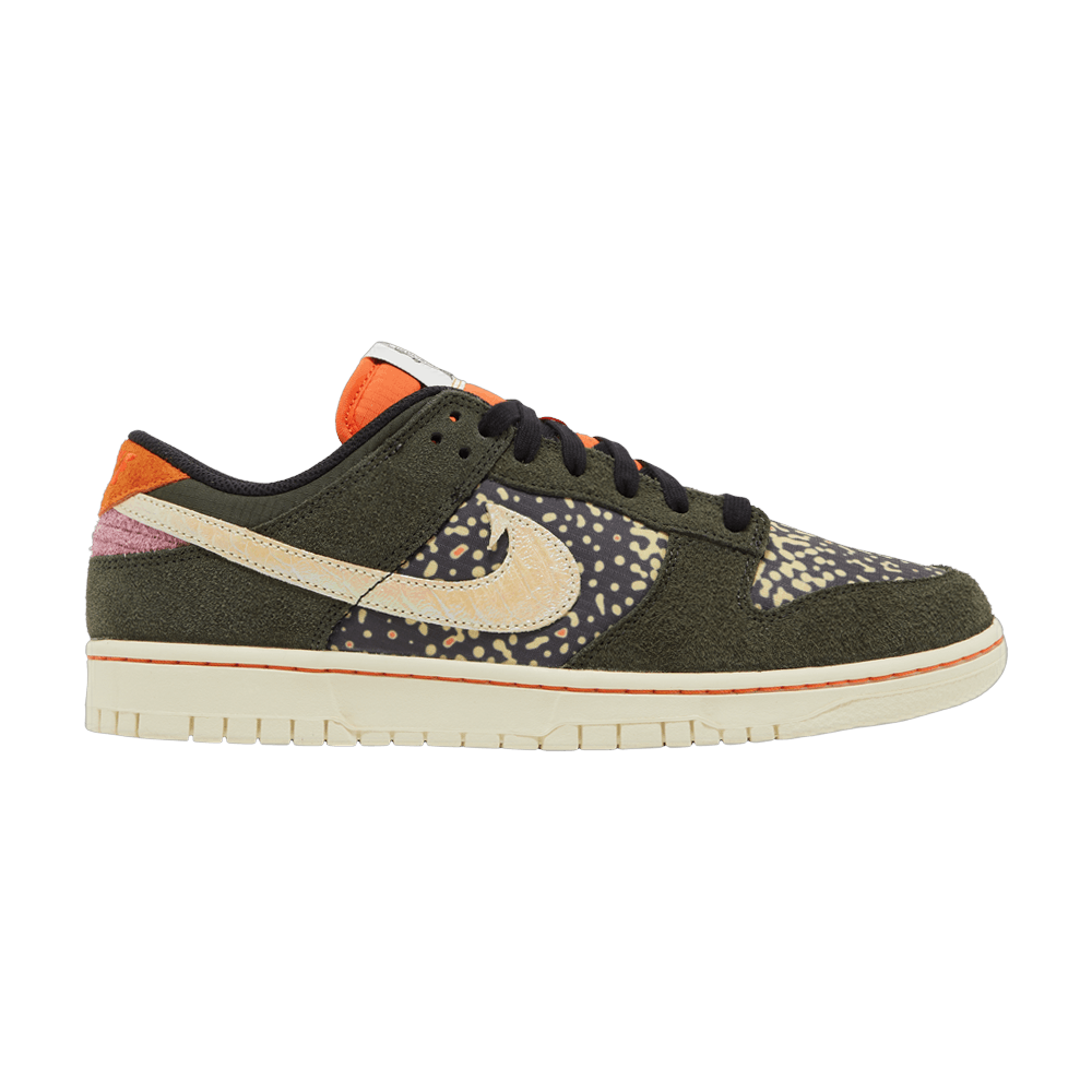 Nike Dunk Low “Rainbow Trout”