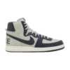 Nike Terminator High "Georgetown"