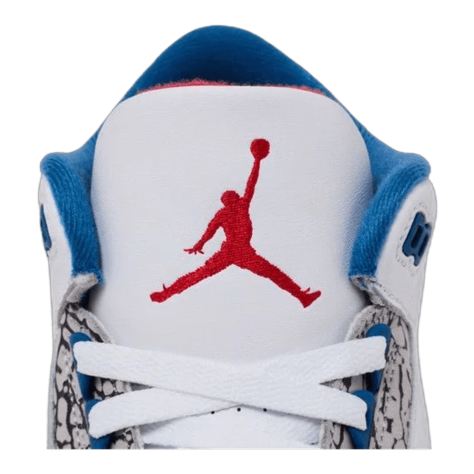 Jordan 3 Retro True Blue (2026)