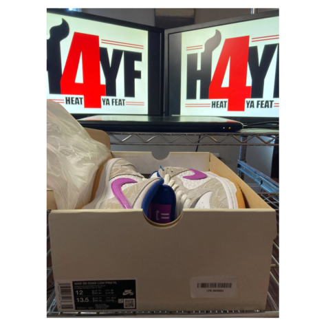 Rayssa Leal x Nike SB Dunk Low — Pure Platinum/Deep Royal Blue-Vivid Purple-White-Gum Yellow (FZ5251-001)