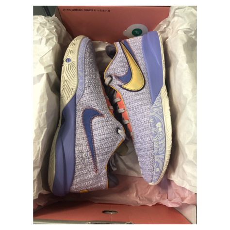Nike LeBron 20 “Violet Frost” — Violet Frost/Metallic Gold-Purple Pulse (DJ5423-500)