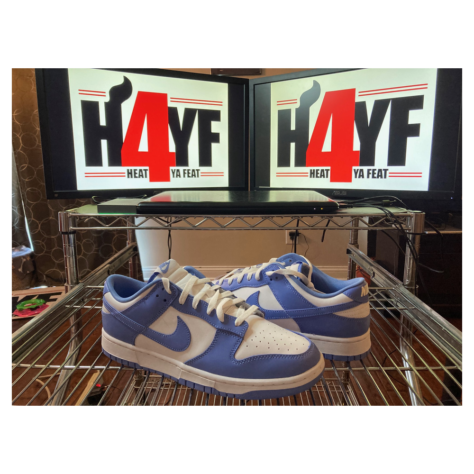 Nike Dunk Low “Polar” — Polar/White (DV0833-400)