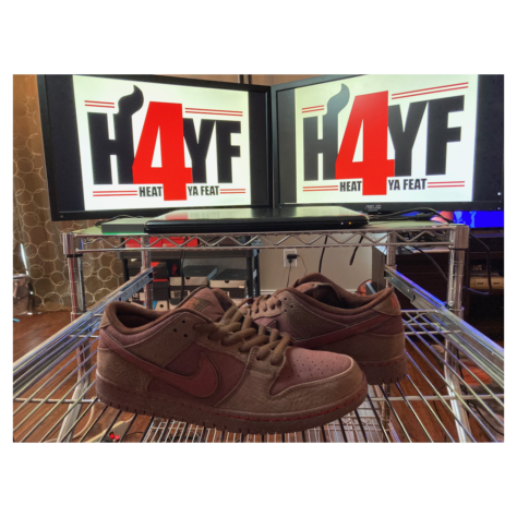 Nike SB Dunk Low “City of Love” — Burgundy Crush/Dark Team Red-Earth-Dark Pony-University Red (FN0619-600)