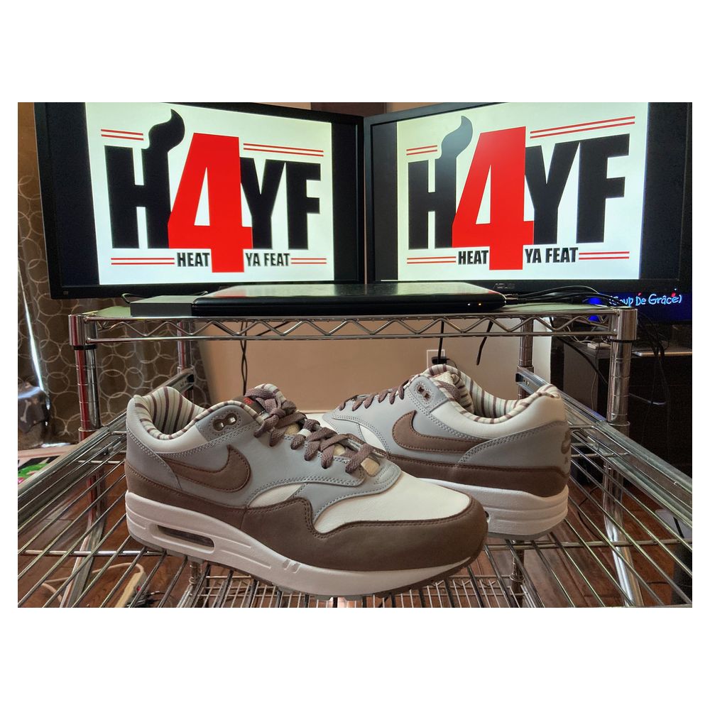 Nike Air Max 1 “Shima Shima” — Summit White/Plum Eclipse-Wolf Grey (FB8916-100)