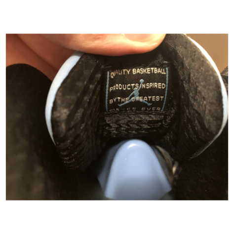 Air Jordan 11 “Pantone” — (689479-405)